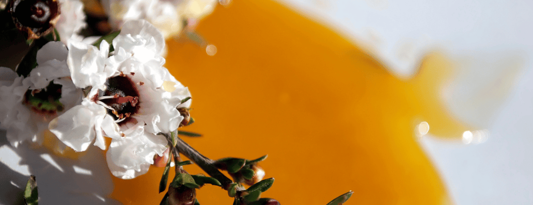 What is Manuka Honey